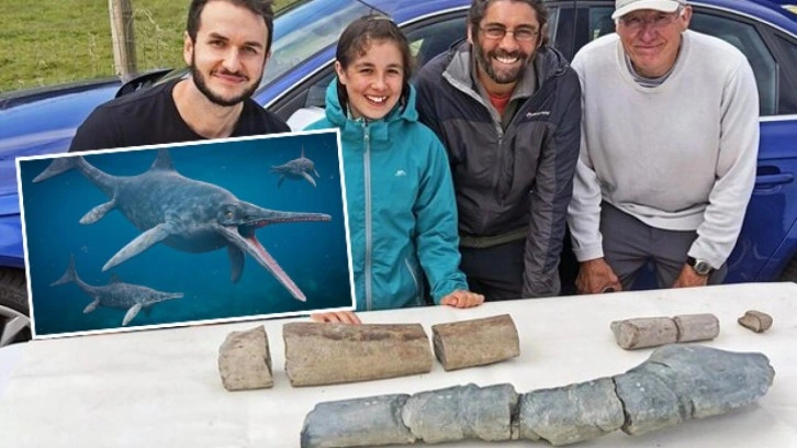 11 yaşındaki kızın bulduğu fosil, "ichthyosaur"a ait çıktı