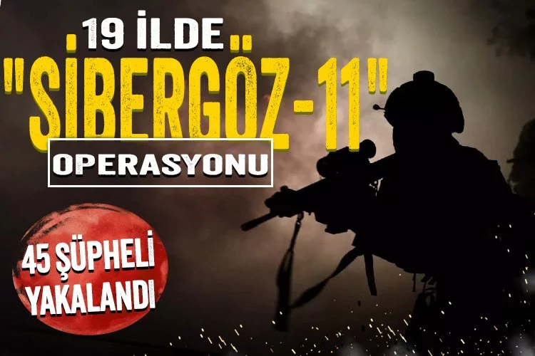 19 ilde "Sibergöz-11" operasyonu: 45 şüpheli yakalandı