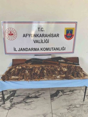 77 bıldırcını kaçak avlayan iki kişiyi jandarma yakaladı