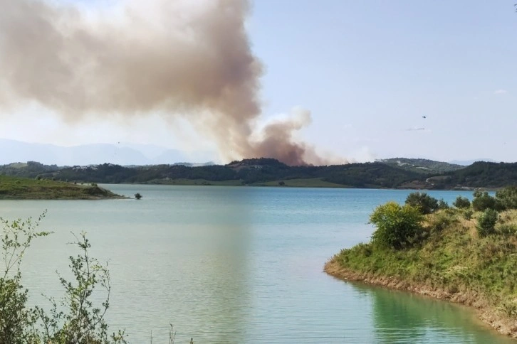 Adana’da orman yangını: Havadan ve karadan müdahale başladı