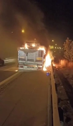 Adana’da otoyolda domates yüklü tır alevlere teslim oldu