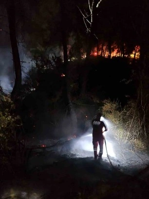 Adana’daki orman yangını büyümeden söndürüldü