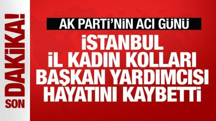 AK Parti İstanbul Kadın Kolları Başkan Yardımcısı Fatma Sevim Baltacı hayatını kaybetti