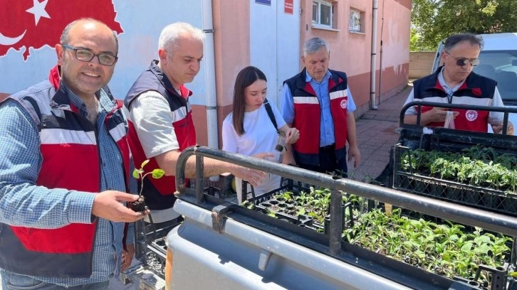 Altıntaş’ta ilkokul öğrencilerine 300 adet sebze fidesi dağıtıldı