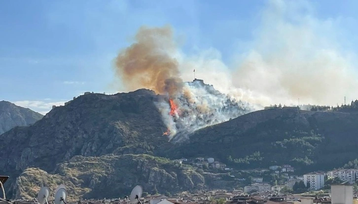 Amasya Kalesi’nde ormanlık alanda yangın