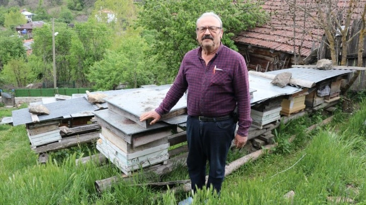 Arıcılıkta 50 yılı geride bırakan emekli öğretmen, bilgilerini yeni nesillere aktarıyor