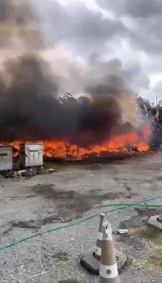 Avcılar’da serada çıkan yangın paniğe neden oldu