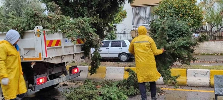 Aydın Büyükşehir Belediyesi tehlikeyi yok etti