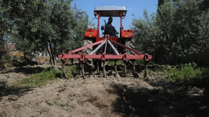 Bahçesini çapaladı, altın fışkırdı