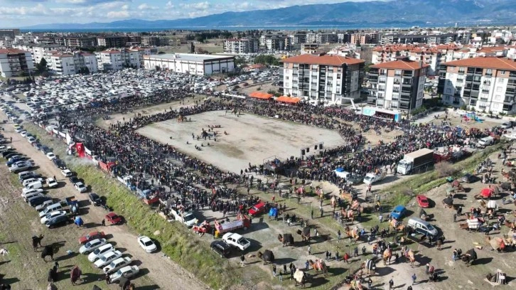 Balıkesir’de deve güreşini binlerce kişi izledi