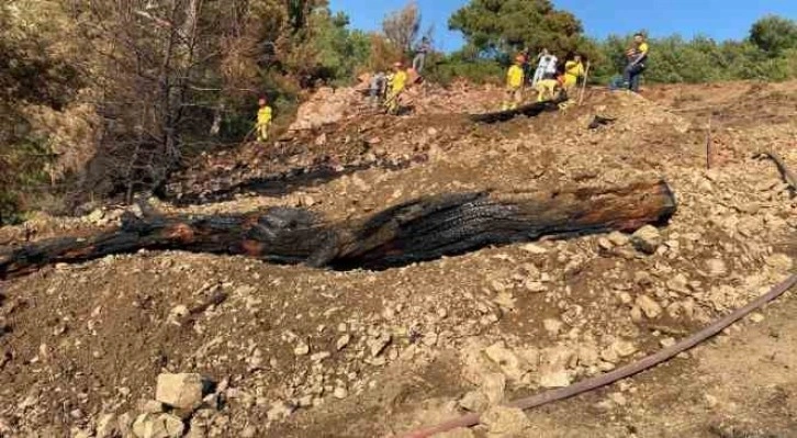 Balıkesir’de orman yangını söndürüldü