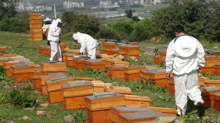 Balın fiyatı 300 liranın altındaysa dikkat!