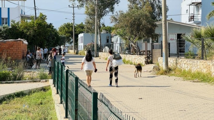 Başıboş köpeklerin saldırısına uğramıştı: 7 yaşındaki Duru evden çıkamıyor