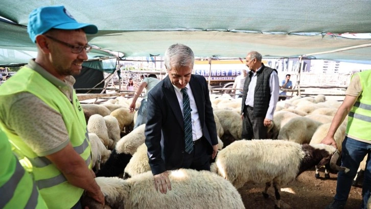 Başkan Tahmazoğlu kurban fiyatlarını düşürdü