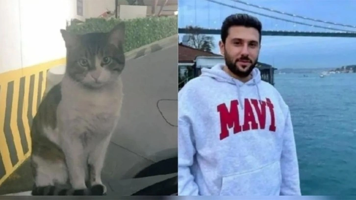 Baskılar sonuç verdi! Kedi Eros'un katili İbrahim Keloğlan yeniden yargılanacak