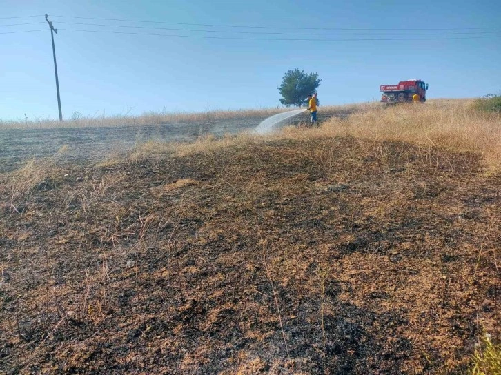 Bilecik’te kuşun elektrik tellerine çarpmasıyla çıkan anız yangını söndürüldü