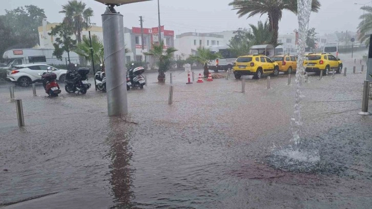 Bodrum’da Kasım bereketi