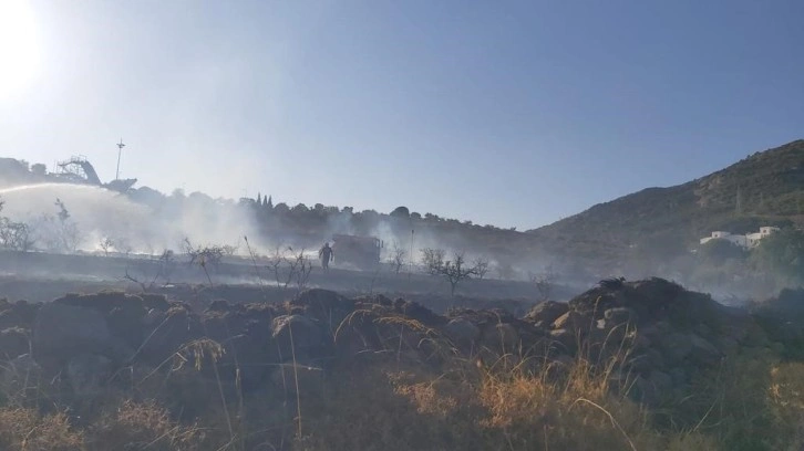 Bodrum’da makilik alanda yangın