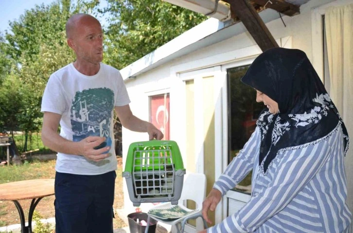 Bozüyük Belediyesi’nden kısırlaştırma yapanlara mama desteği