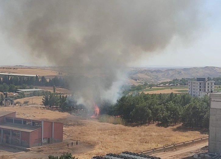 Çamlık alanda çıkan yangın paniğe neden oldu