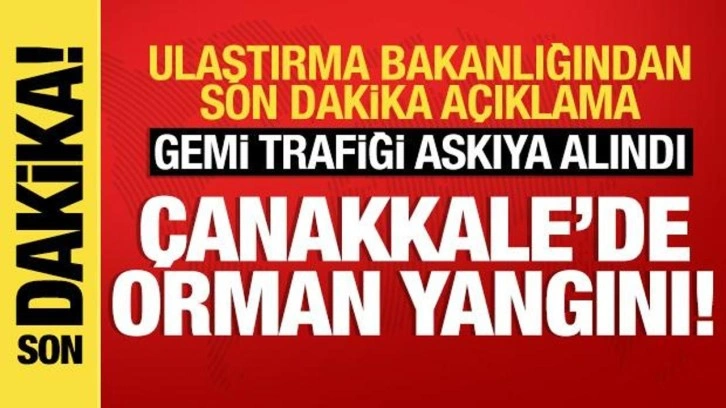 Çanakkale'de orman yangını: Gemi trafiği geçici olarak askıya alındı!