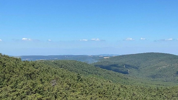 Çanakkale'de orman yangını