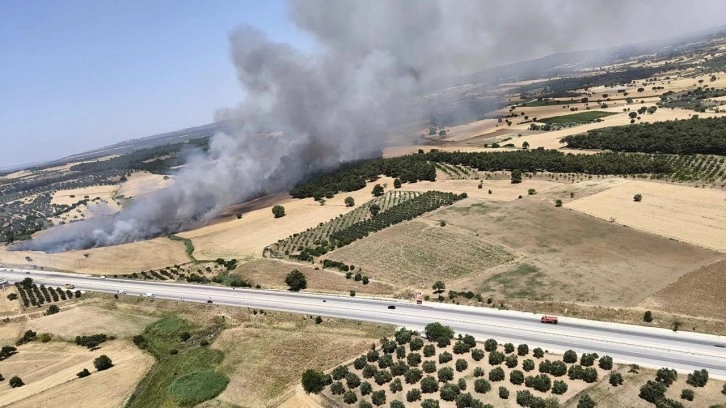 Çanakkale'de ormanlık alanda yangın!