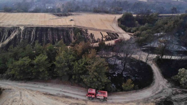 Çanakkale’de yangının boyutu gün ağarınca ortaya çıktı