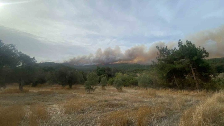 Çanakkale’deki orman yangını devam ediyor