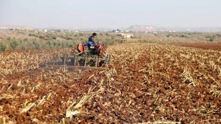 Çiftçilere tarımsal destek ödemesi bugün yapılacak