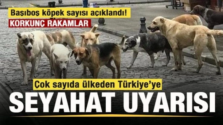 Çok sayıda ülkeden Türkiye'ye seyahat uyarısı! Korkunç rakamlar açıklandı