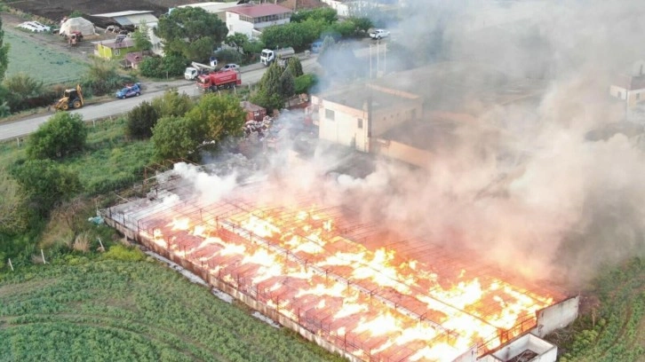 Depodaki yangında 160 ton kozalak küle döndü