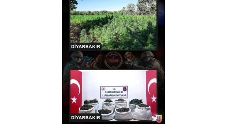 Diyarbakır’da milyonlarca kök kenevir, kilolarca kubar esrar ele geçirildi