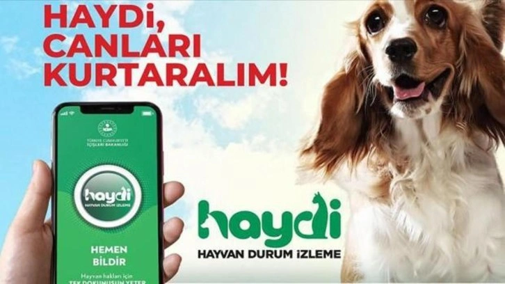 EGM'den, HAYDİ 'Hayvan Durum İzleme' mobil uygulaması