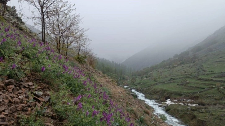 Erzurum’da mayıs ayında kar sürprizi