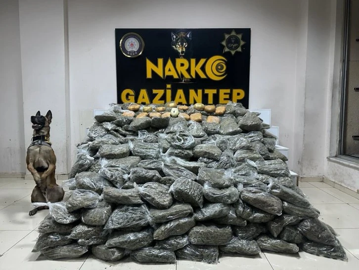 Gaziantep’te 170 kilogram skunk ele geçirildi