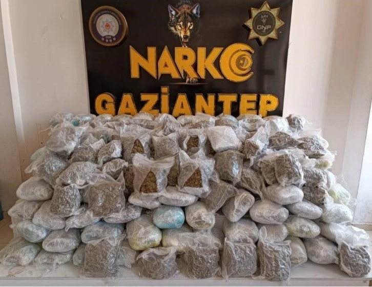 Gaziantep’te 81 kilo shunk ele geçirildi