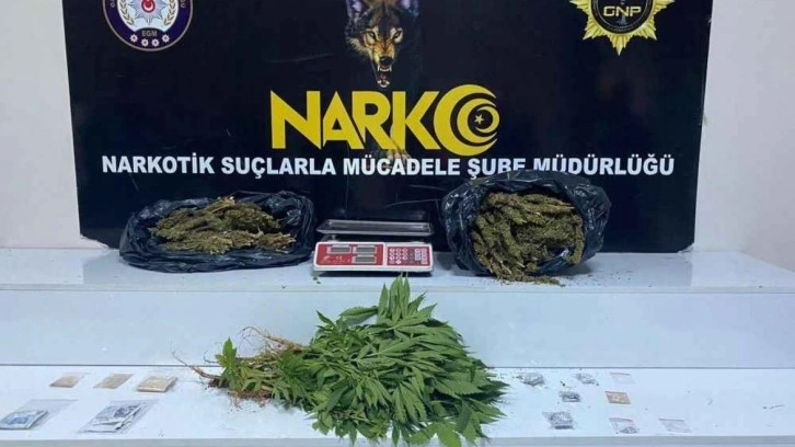 Gaziantep’te zehir tacirlerine büyük darbe: Gaziantep’te 41 kilo skunk ele geçirildi