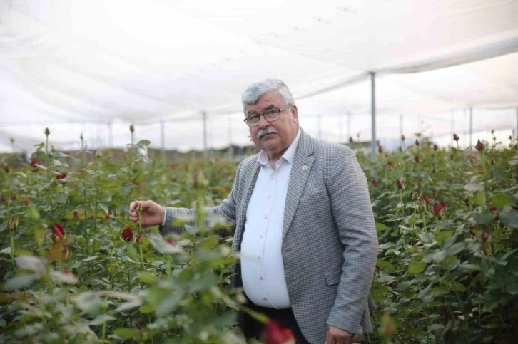 Gül kazandırdı, üretici çoğaldı