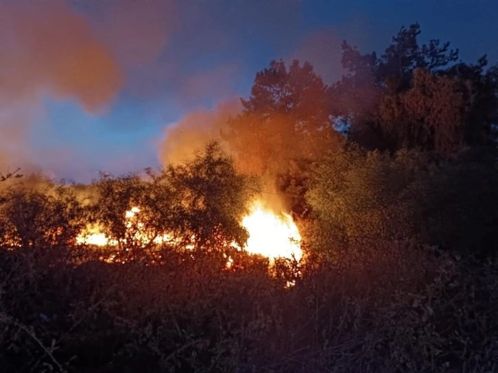 Hatay’da ağaçlık alan yangını söndürüldü