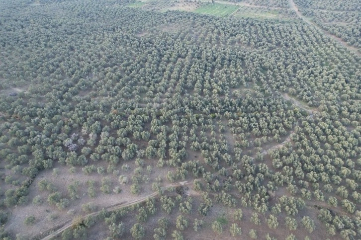 Havran İlçe Tarım’da dron dönemi