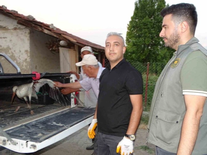 Hisarcık’ta vatandaşların bulduğu yaralı leylek tedavi altına alındı