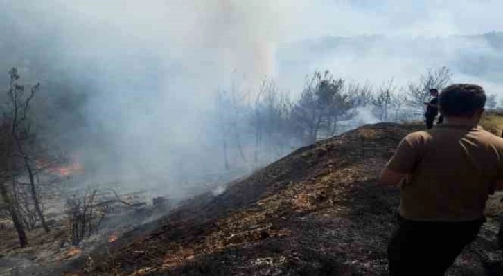 İzmir’de iki orman yangını birden başladı