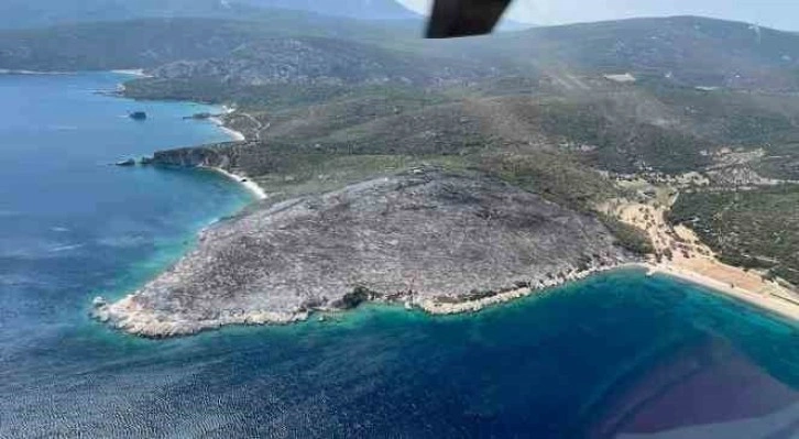 İzmir’deki orman yangınında gözaltına alınan şüpheliler serbest bırakıldı