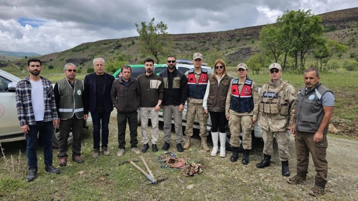 Kaçak salep yumrusu toplayanlara yaklaşık 2 milyon lira ceza kesildi