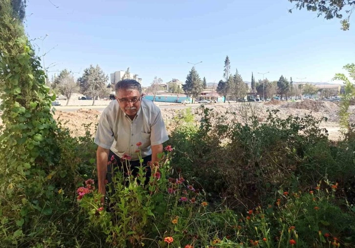 Kahramanmaraş’ta muhtar enkaz halindeki mahalleyi yeşillendirdi