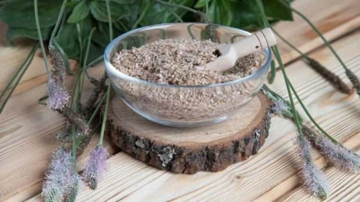 Karnıyarık otu kabızlık için nasıl kullanılır? Karnıyarık otu tohumu (Psyllium) faydaları!