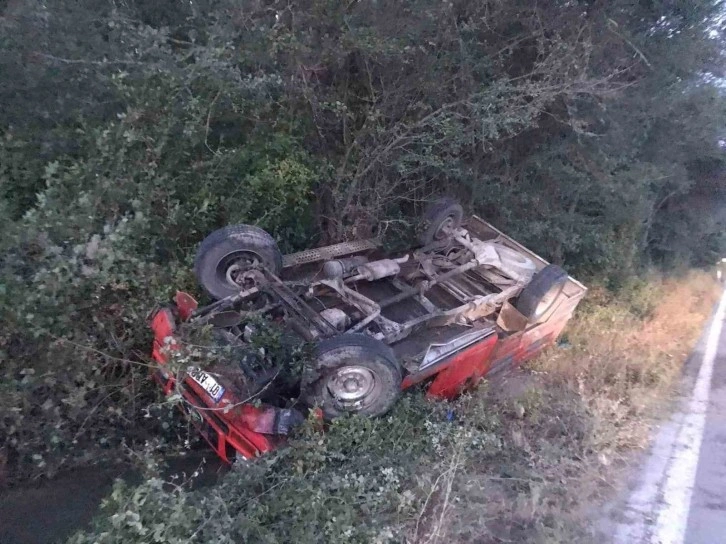 Kastamonu’da yola çıkan ceylana kamyonet çartı: 2 yaralı