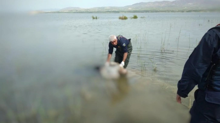 Kayıp olarak aranıyordu, baraj gölünde cesedi bulundu