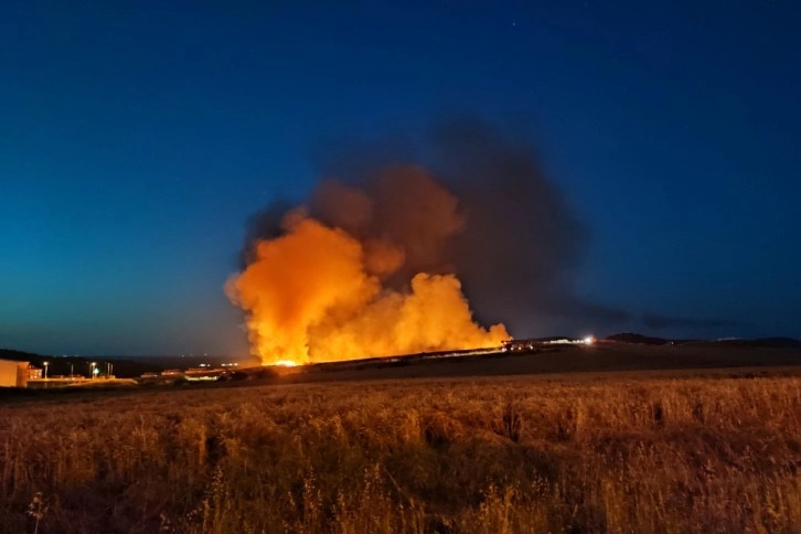 Keşan'da 100 dönüm alanda ekili buğday kül oldu